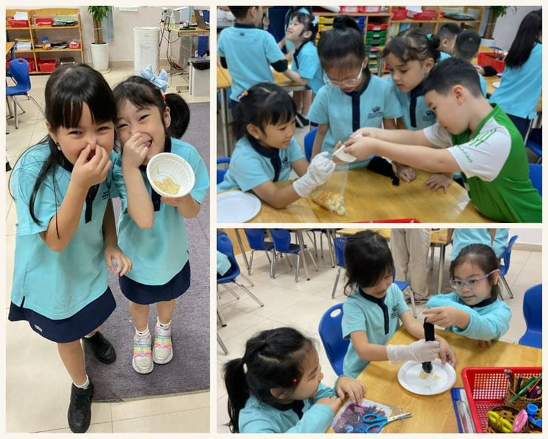 Weekly Updates on 08/11/2024 | BVIS Hanoi - Weekly Updates on 08-11-2024