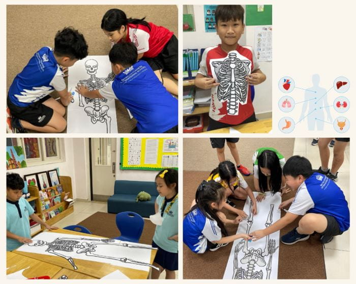 Weekly Updates on 10/05/2024 | BVIS Hanoi - Weekly Updates on 10-05-2024