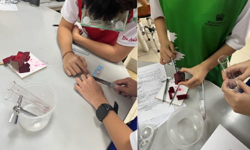 Weekly Updates on 13/09/2024 | BVIS Hanoi - Weekly Updates on 13-09-2024