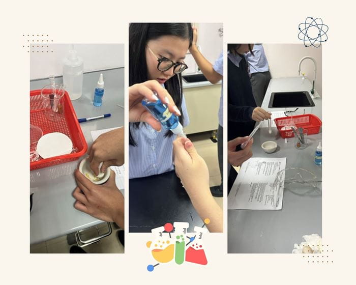 Weekly Updates on 13/09/2024 | BVIS Hanoi - Weekly Updates on 13-09-2024