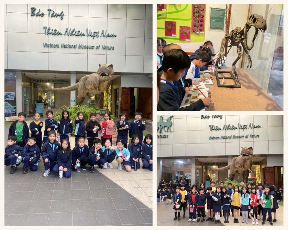 Weekly Updates on 13/12/2024 | BVIS Hanoi - Weekly Updates on 13-12-2024