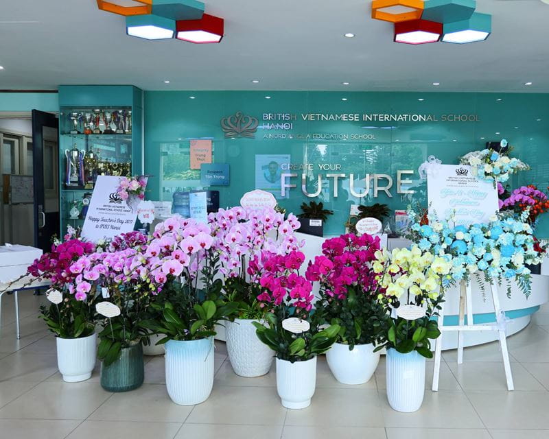 Tiêu điểm tuần - ngày 22/11/2024 - Weekly Updates on 22-11-2024