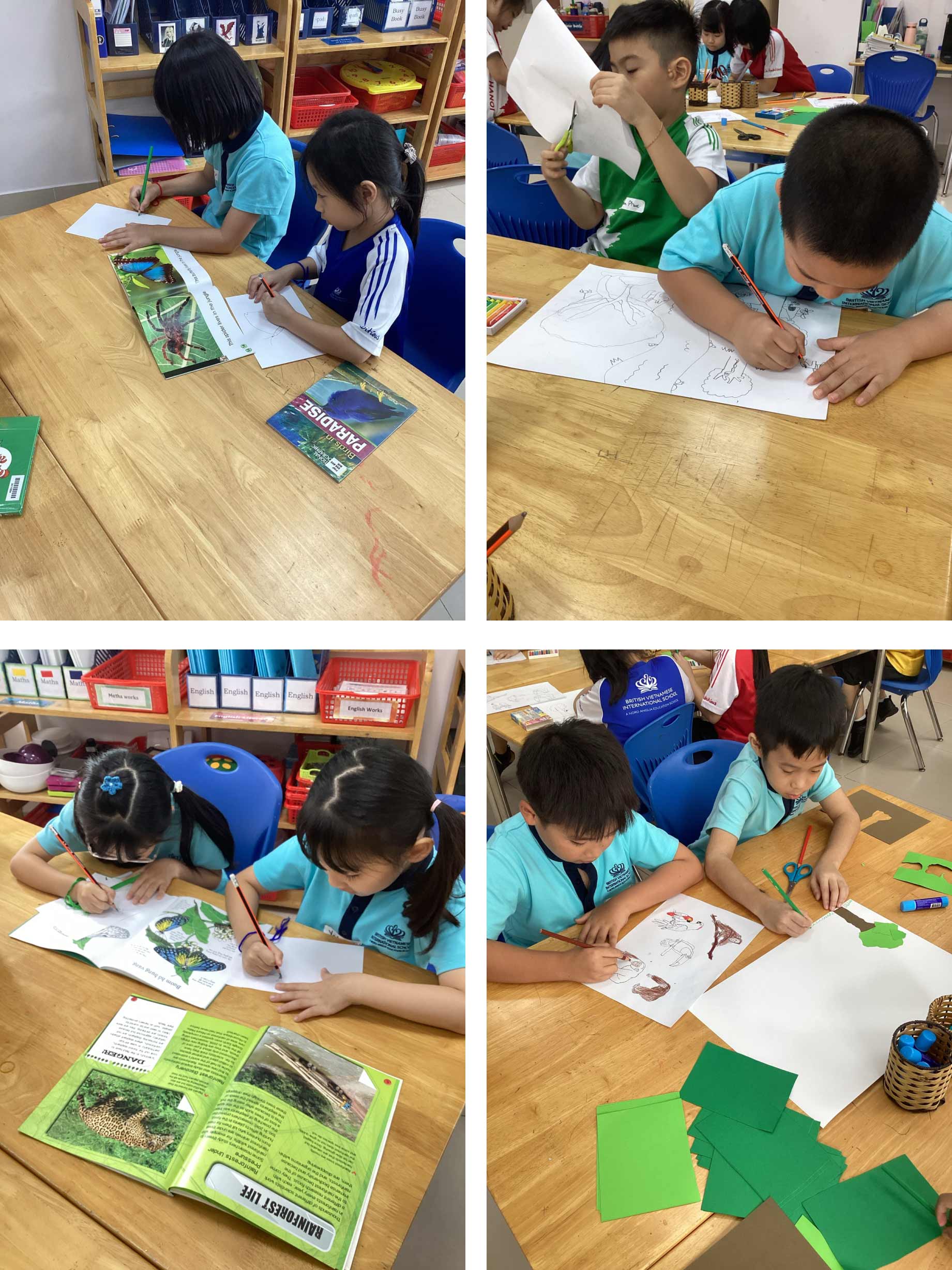 Weekly Updates on 23/08/2024 | BVIS Hanoi - Weekly Updates on 23-08-2024