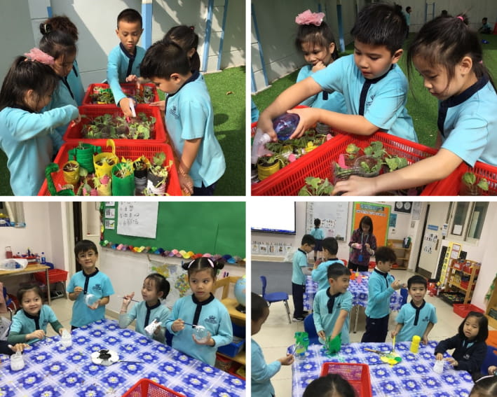 Weekly Updates on 26/01/2024 | BVIS Hanoi - Weekly Updates on 26-01-2024