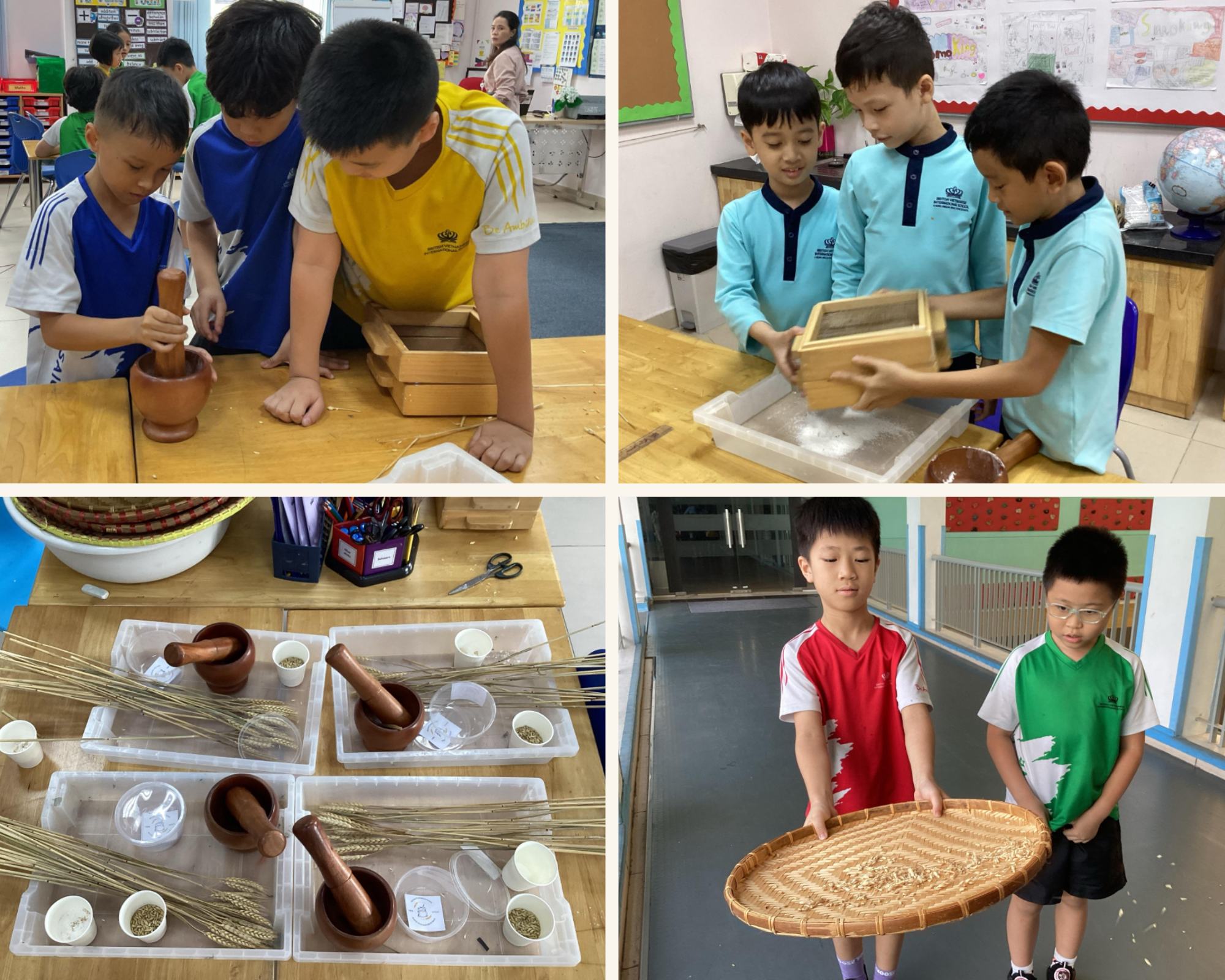 Weekly Updates on 29/11/2024 | BVIS Hanoi - Weekly Updates on 29-11-2024