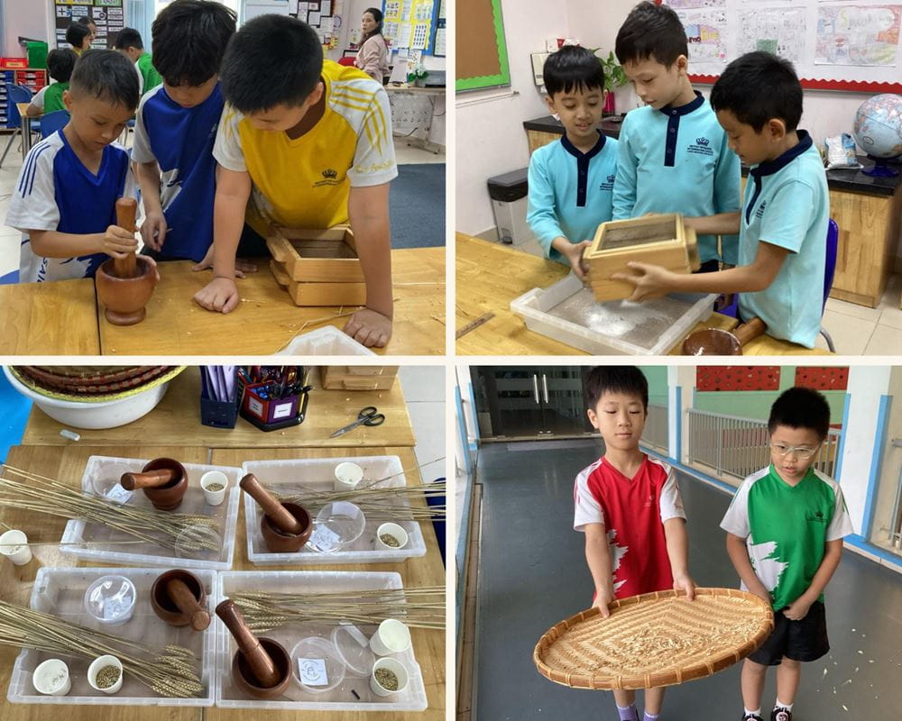 Tiêu điểm tuần - ngày 29/11/2024 - Weekly Updates on 29-11-2024