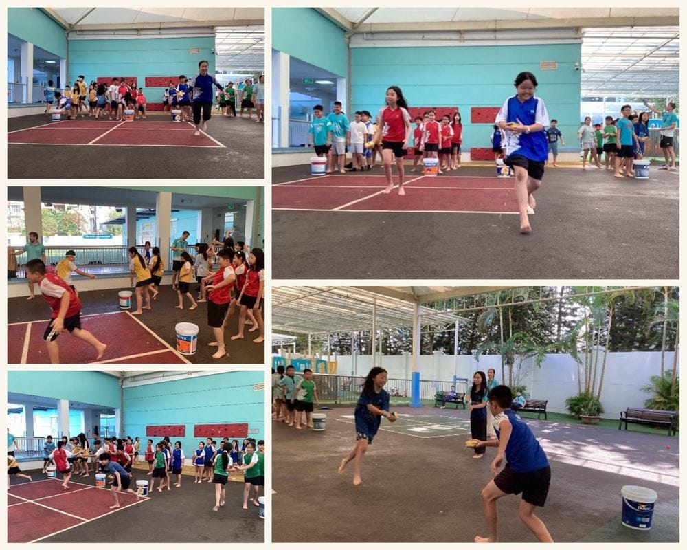 Tiêu điểm tuần - ngày 29/11/2024 - Weekly Updates on 29-11-2024