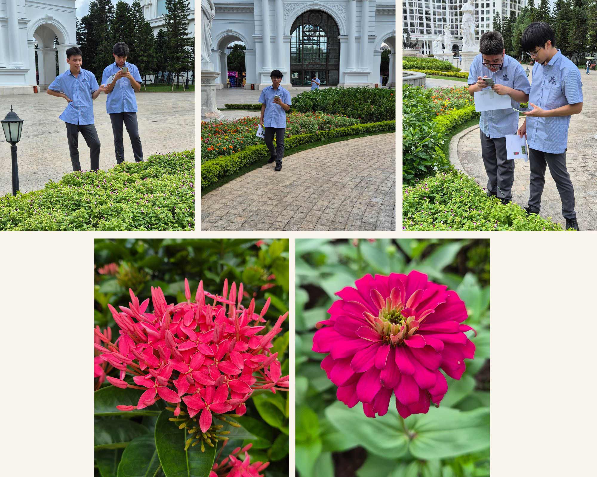 Weekly Updates on 30/08/2024 | BVIS Hanoi - Weekly Updates on 30-08-2024