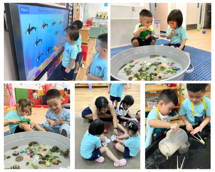 Tiêu điểm tuần - ngày 31/05/2024 - Weekly Updates on 31-05-2024