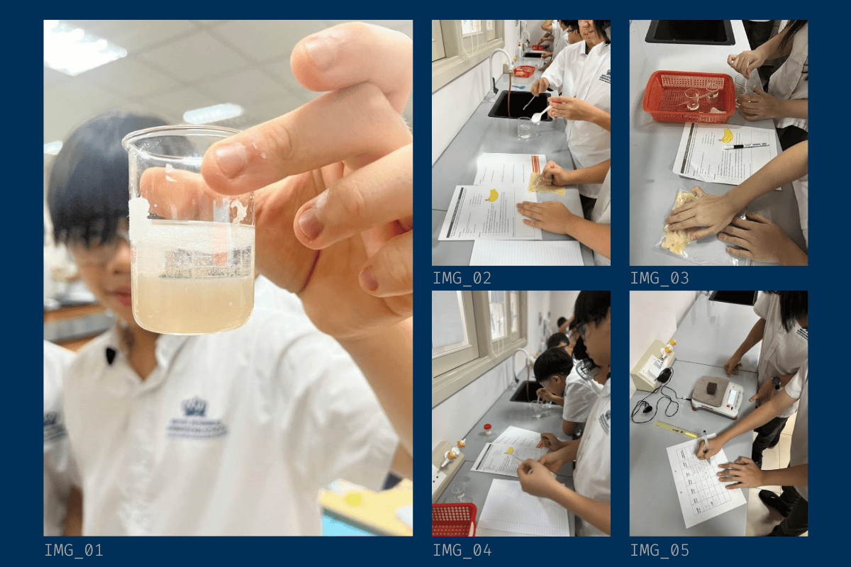 Thành Tích & Hoạt Động Học Sinh (25/08 - 29/08/2025) - Weekly Updates 29-08-25