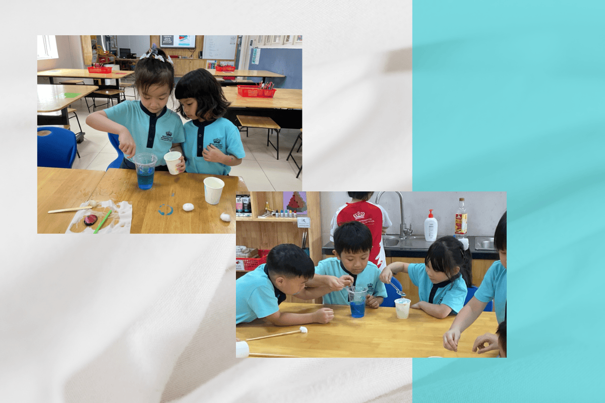 Student Highlights & Success Stories (25/08 - 29/08/25) - Weekly Updates 29-08-25