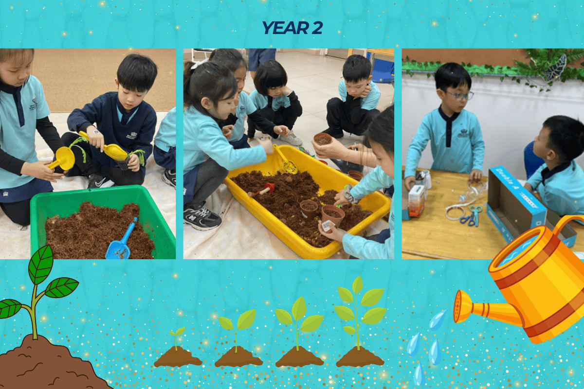 Thành Tích & Hoạt Động Học Sinh (12/01 - 16/01/2026) - Weekly Updates 16-01-26