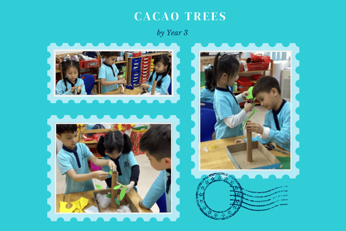 Student Highlights & Success Stories (26/01 - 30/01/2026) | BVIS Hanoi - Weekly Updates 30-01-26