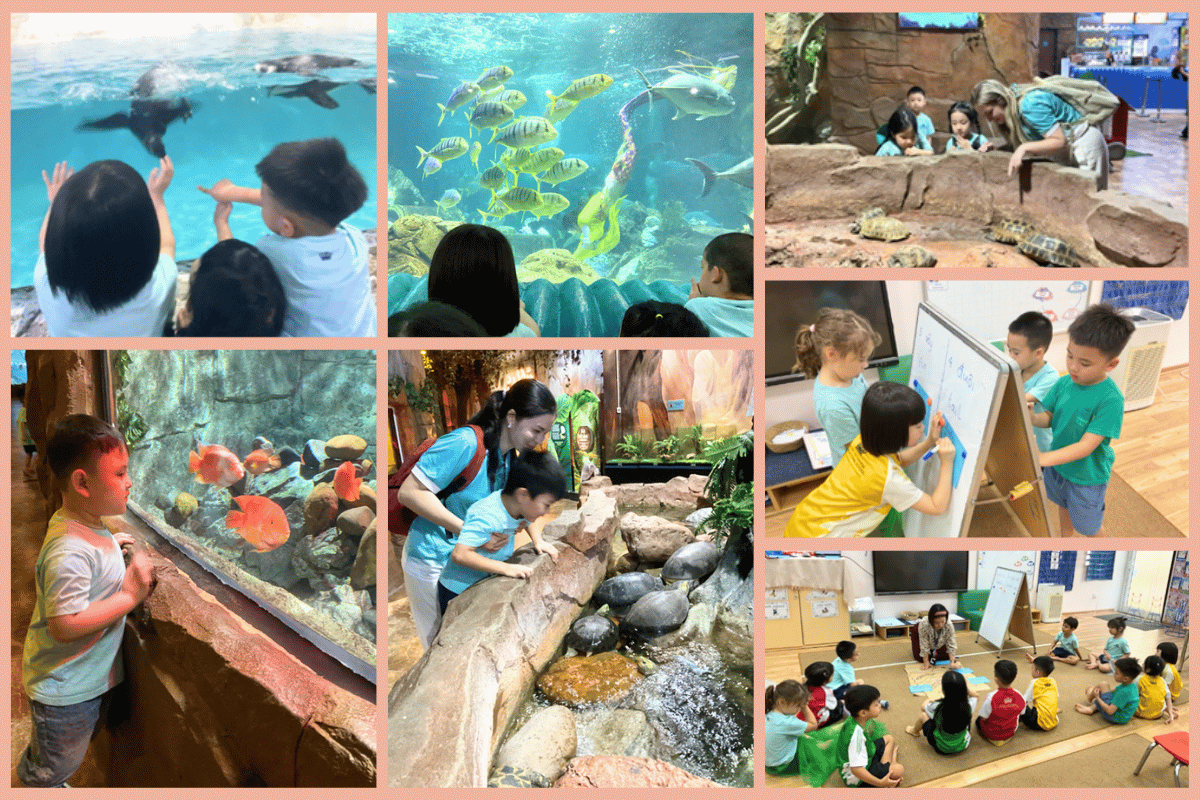 Thành Tích & Hoạt Động Học Sinh (08/06 - 12/06/2026) - Weekly Updates 12-06-26