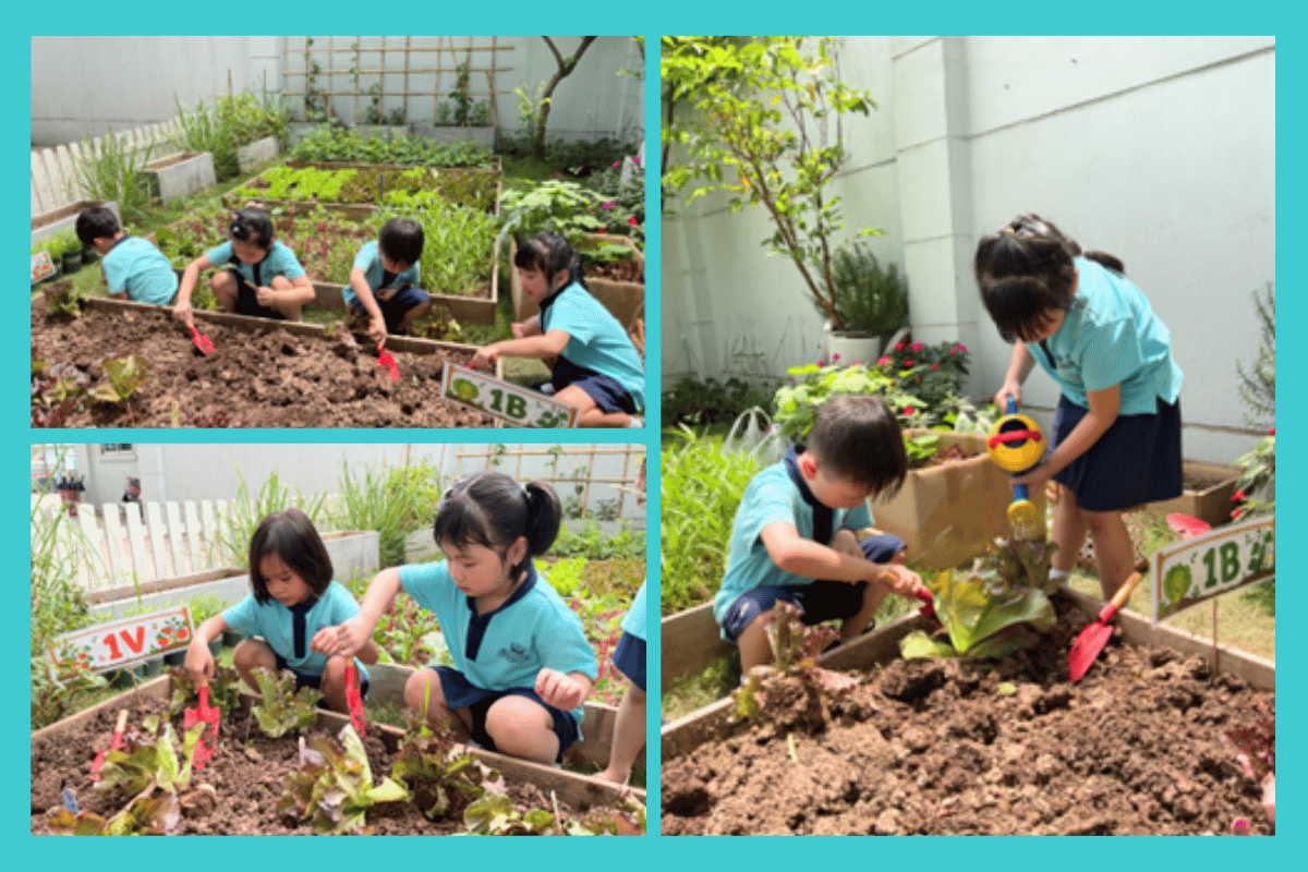 Student Highlights & Success Stories (04/05 - 08/05/2026) | BVIS Hanoi - Weekly Updates 06-05-26