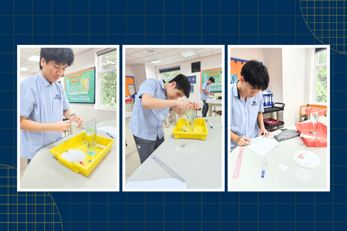 Thành Tích & Hoạt Động Học Sinh (11/05 - 15/05/2026) - Weekly Updates 15-05-26