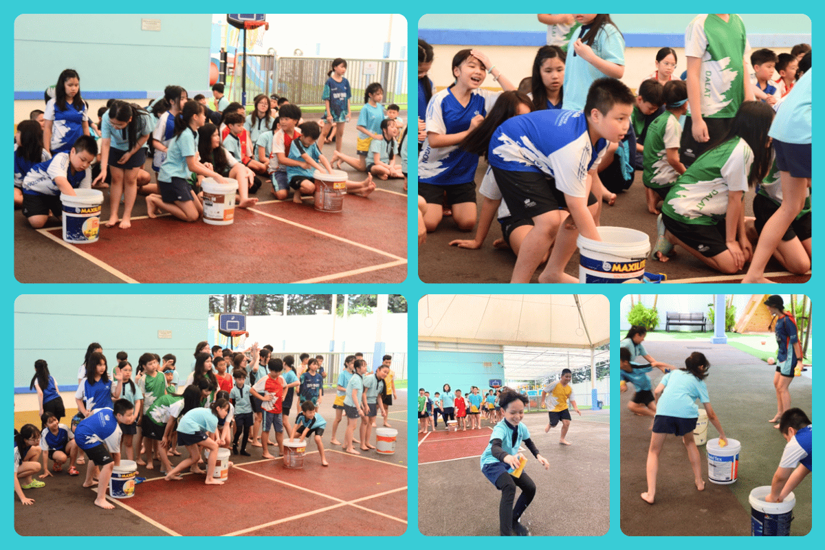 Student Highlights & Success Stories (11/05 - 15/05/2026) | BVIS Hanoi - Weekly Updates 15-05-26