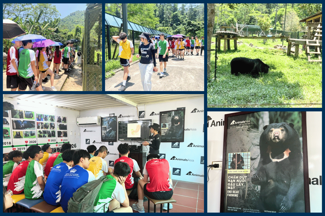 Thành Tích & Hoạt Động Học Sinh (25/05 - 29/05/2026) - Weekly Updates 29-05-26