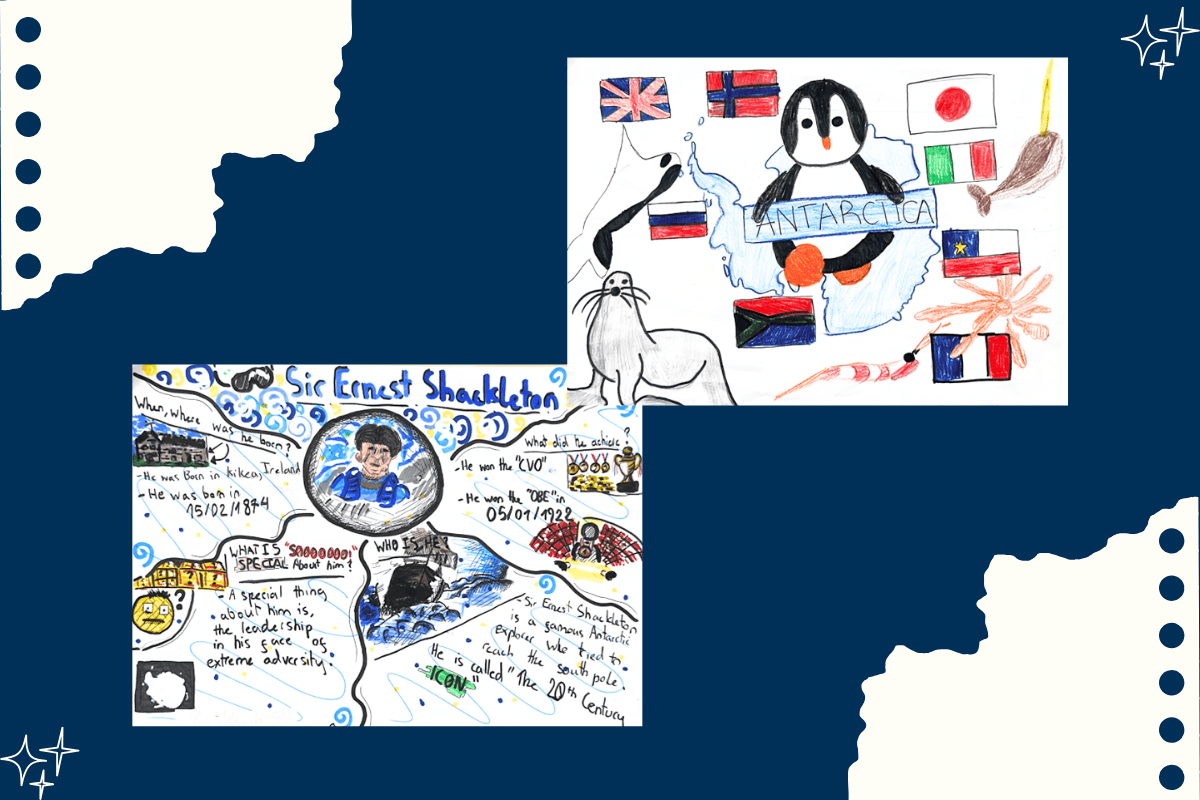 Student Highlights & Success Stories (03/11 - 07/11/2025) | BVIS Hanoi - Weekly Updates 07-11-25