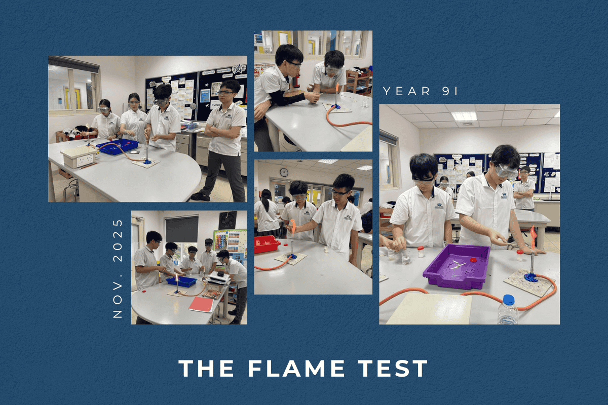 Student Highlights & Success Stories (10/11 - 14/11/2025) | BVIS Hanoi - Weekly Updates 14-11-25