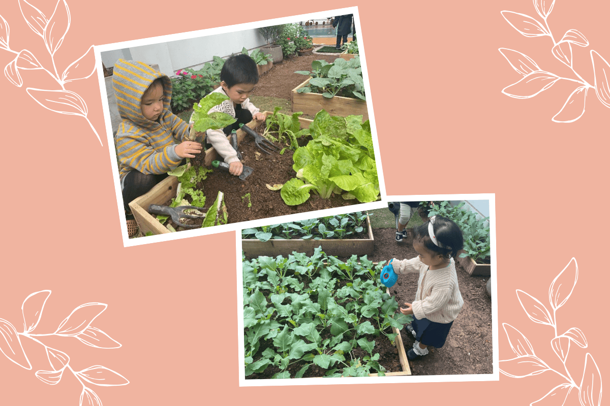 Student Highlights & Success Stories (10/11 - 14/11/2025) | BVIS Hanoi - Weekly Updates 14-11-25