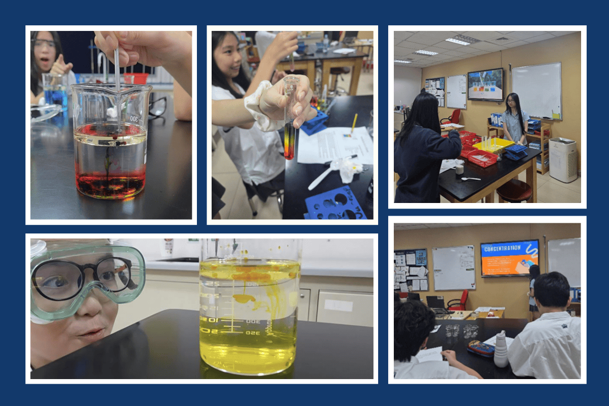 Thành Tích & Hoạt Động Học Sinh (17/11 - 21/11/2025) - Weekly Updates 21-11-25