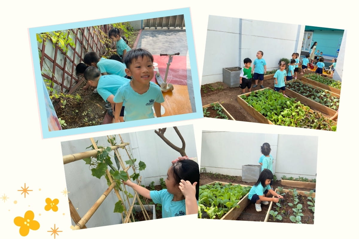 Student Highlights & Success Stories (20/10 - 24/10/2025) | BVIS Hanoi - Weekly Updates 24-10-25