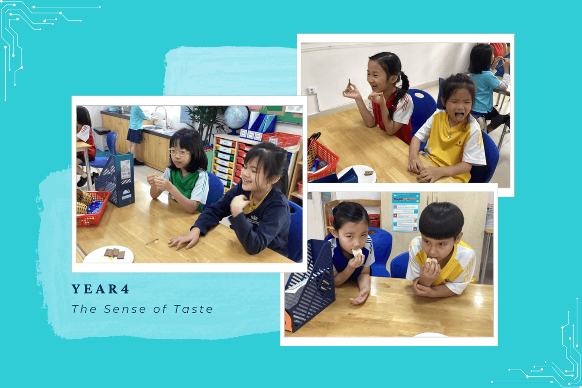 Student Highlights & Success Stories (27/10 - 31/10/2025) | BVIS Hanoi - Weekly Updates 31-10-25