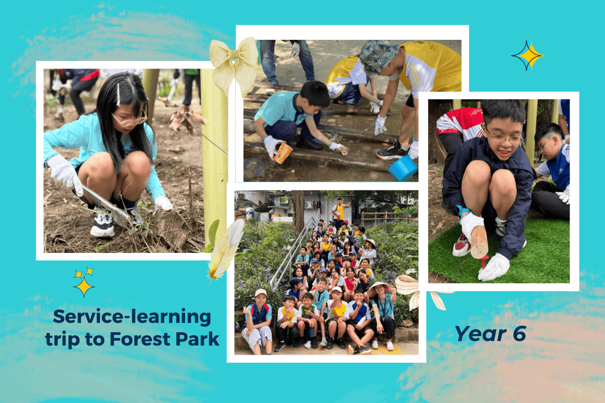 Student Highlights & Success Stories (27/10 - 31/10/2025) | BVIS Hanoi - Weekly Updates 31-10-25