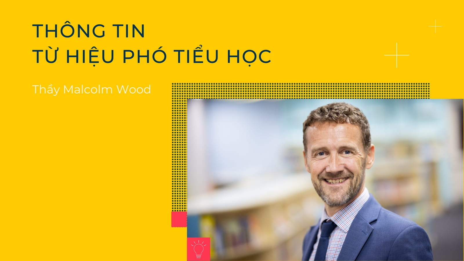 Bản tin hàng tuần ngày 3/11/2023 - Weekly Updates on 3-11-2023