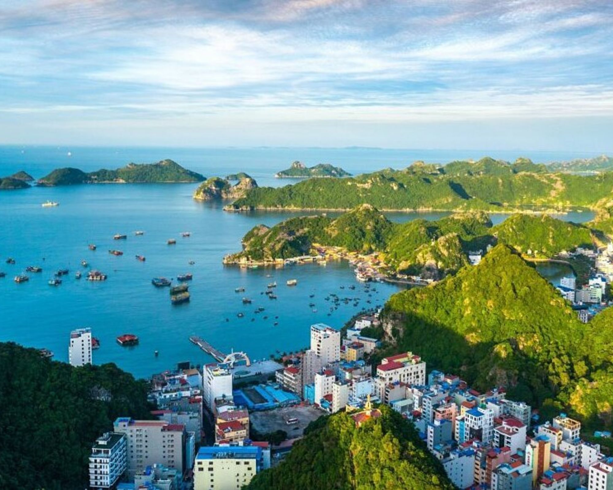 Tiêu điểm tuần - ngày 14/02/2025 - Weekly Updates on 14-02-2025
