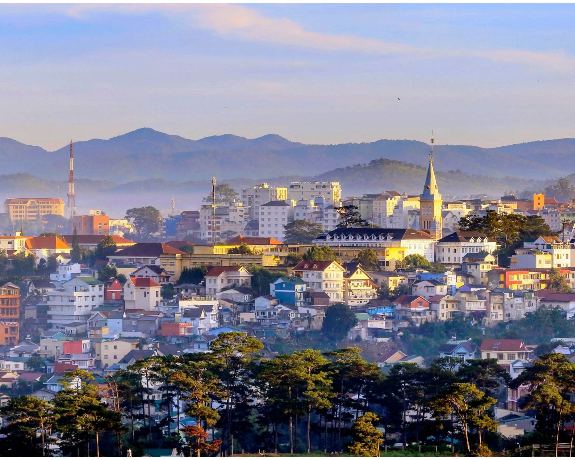 Tiêu điểm tuần - ngày 14/02/2025 - Weekly Updates on 14-02-2025