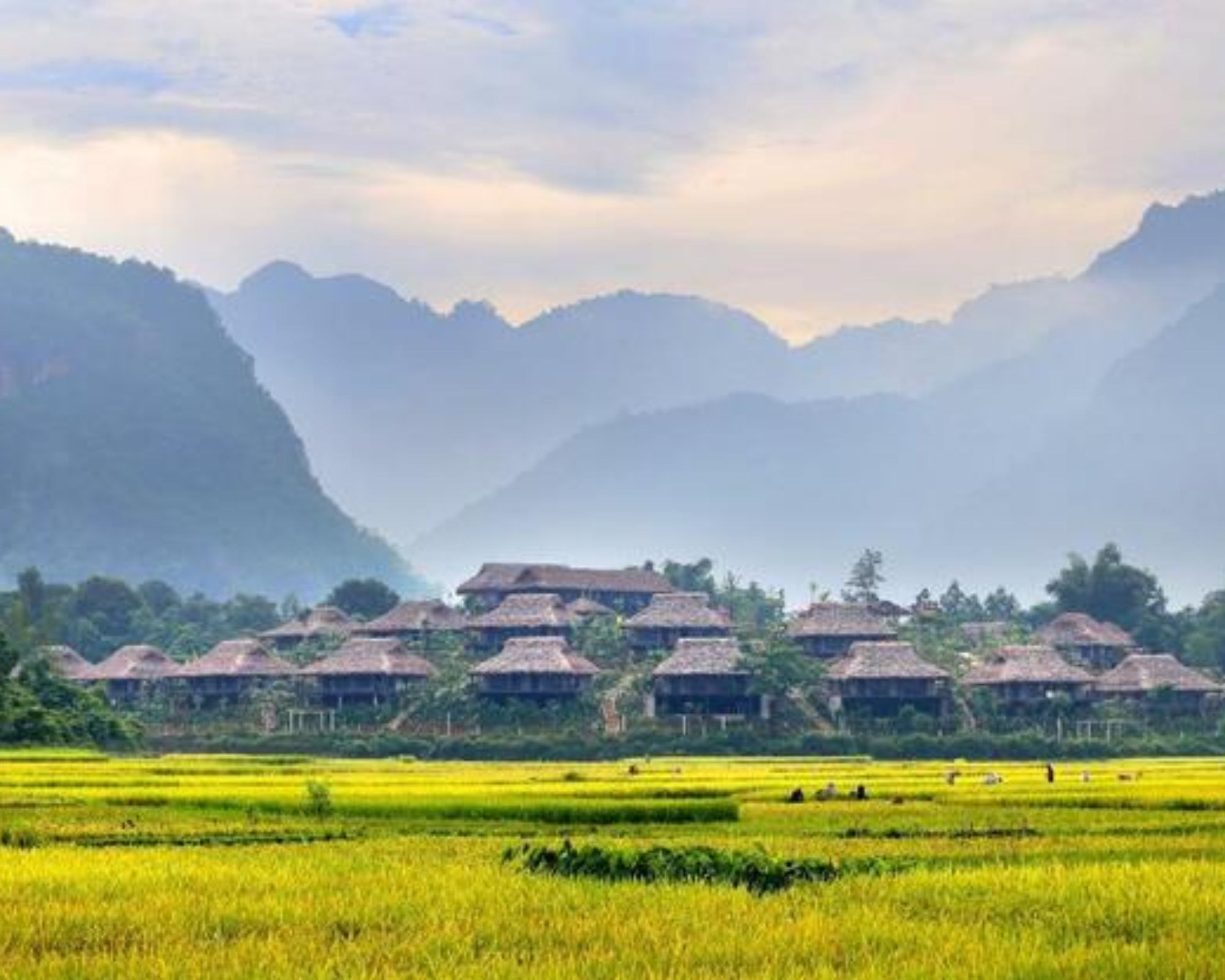 Tiêu điểm tuần - ngày 14/02/2025 - Weekly Updates on 14-02-2025