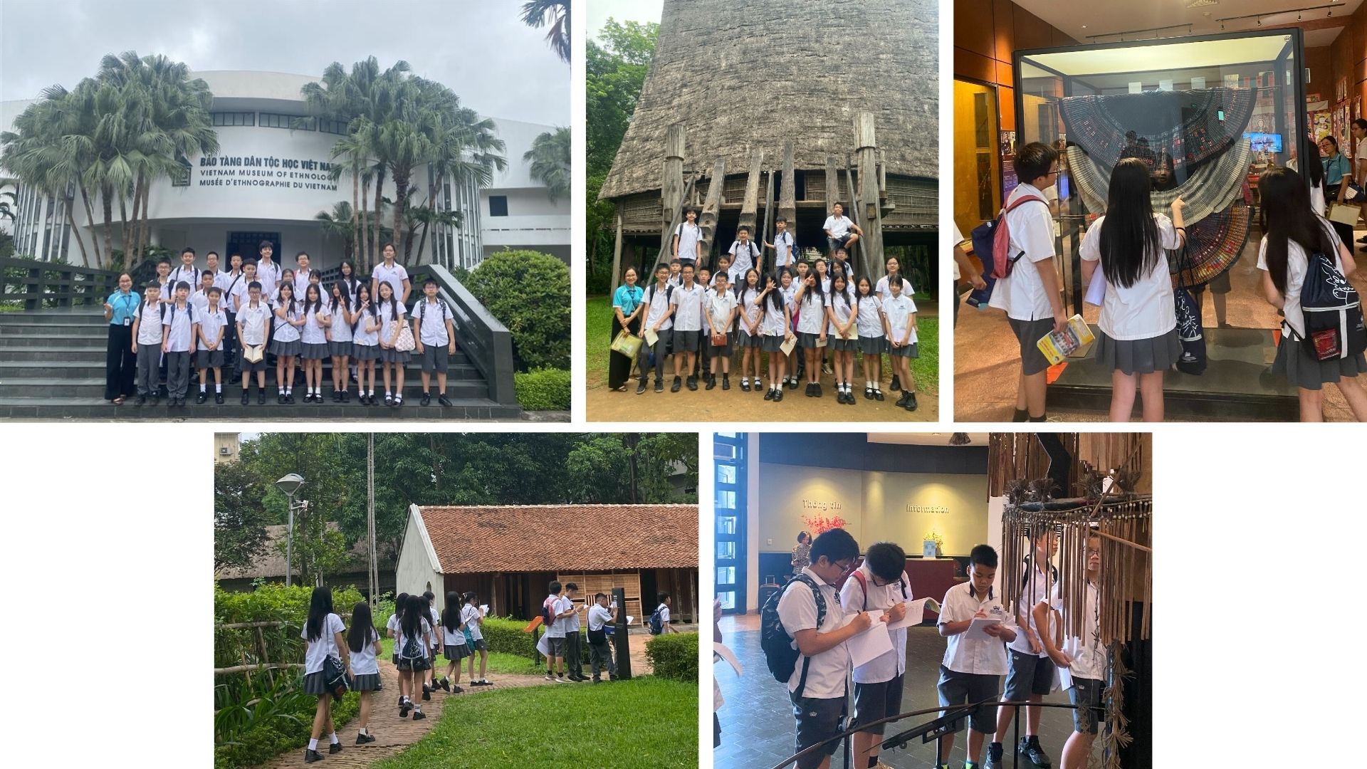 Student Highlights & Success Stories (09/06 - 13/06/25) - Weekly Updates 13-06-25