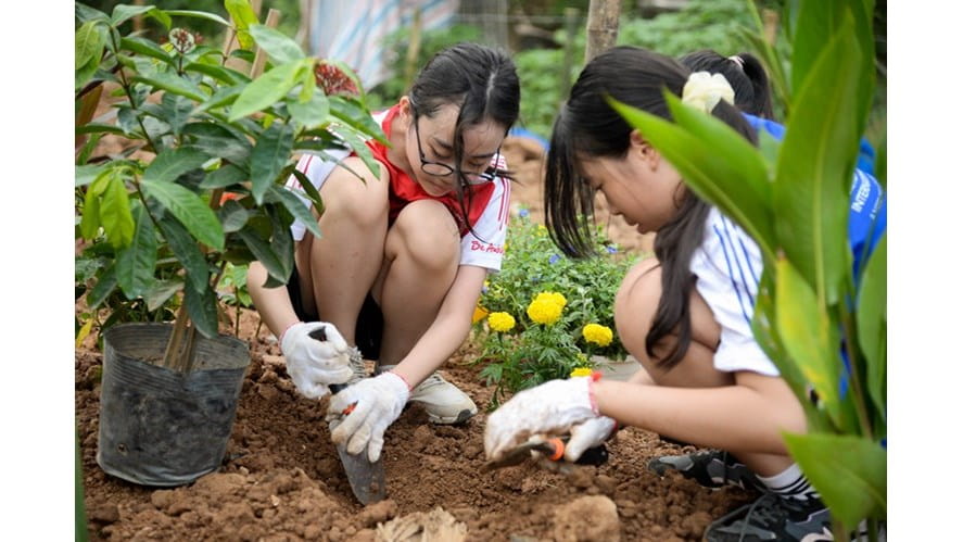 BVIS Hanoi_gardening 1