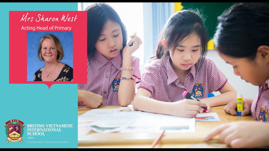 Format Primary weekly update new