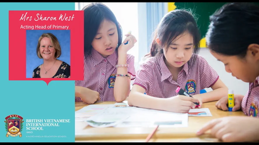 Format Primary weekly update new