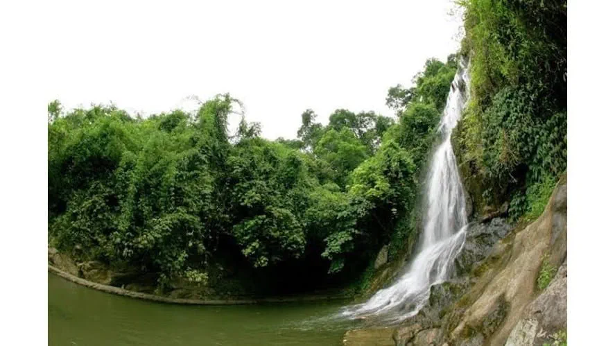 bavitrip_755x9999