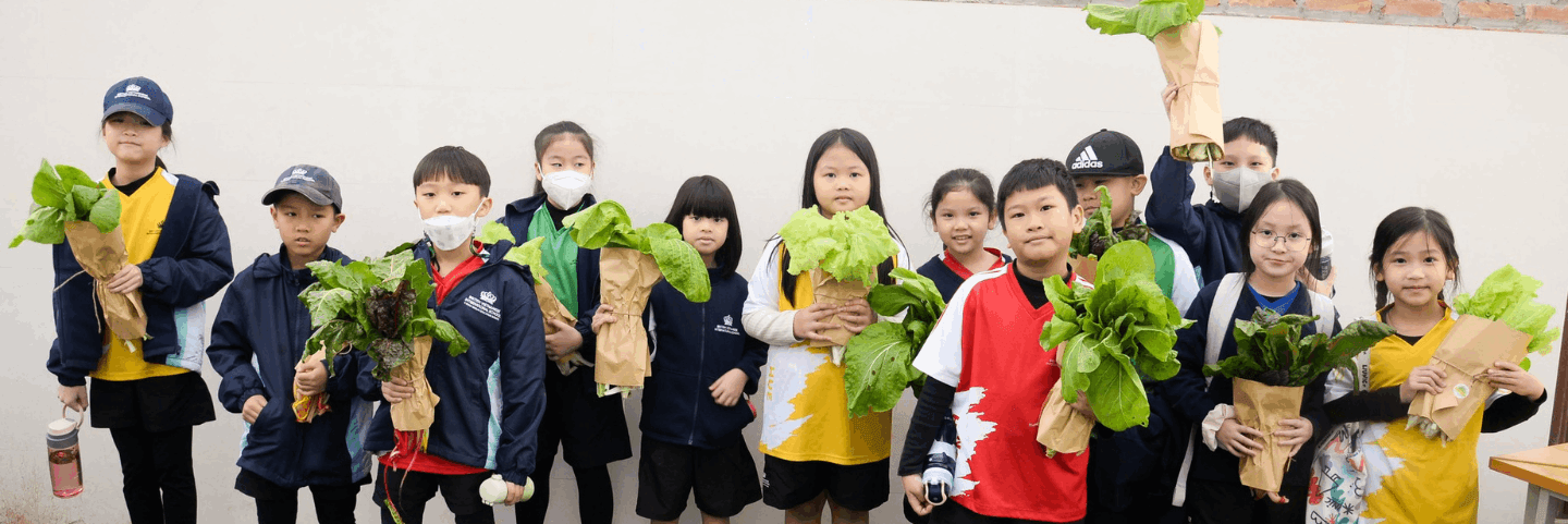 Social Purpose | British Vietnamese International School Hanoi - Content Page Header