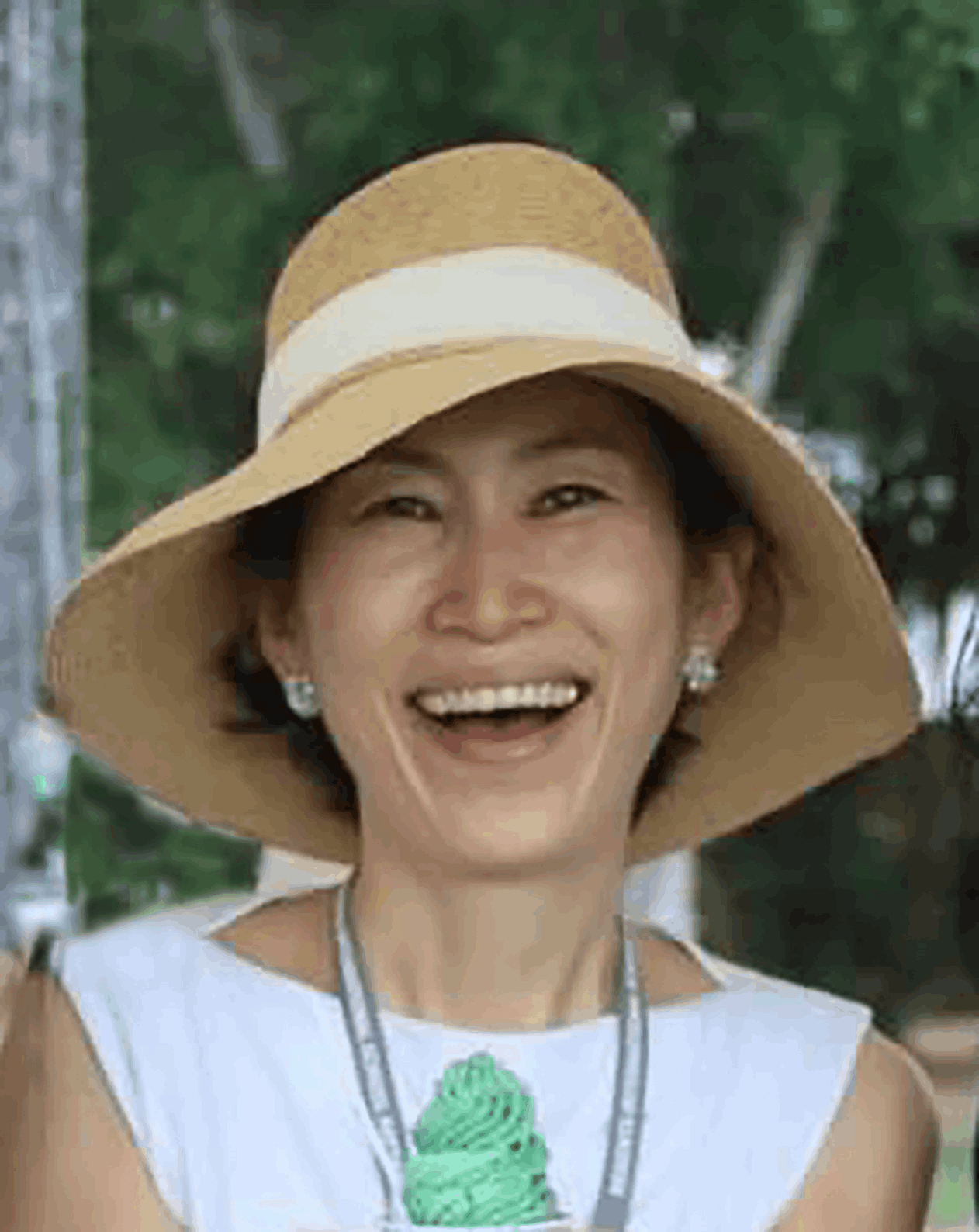 British Vietnamese International School Hanoi - Feature Cards Pattern