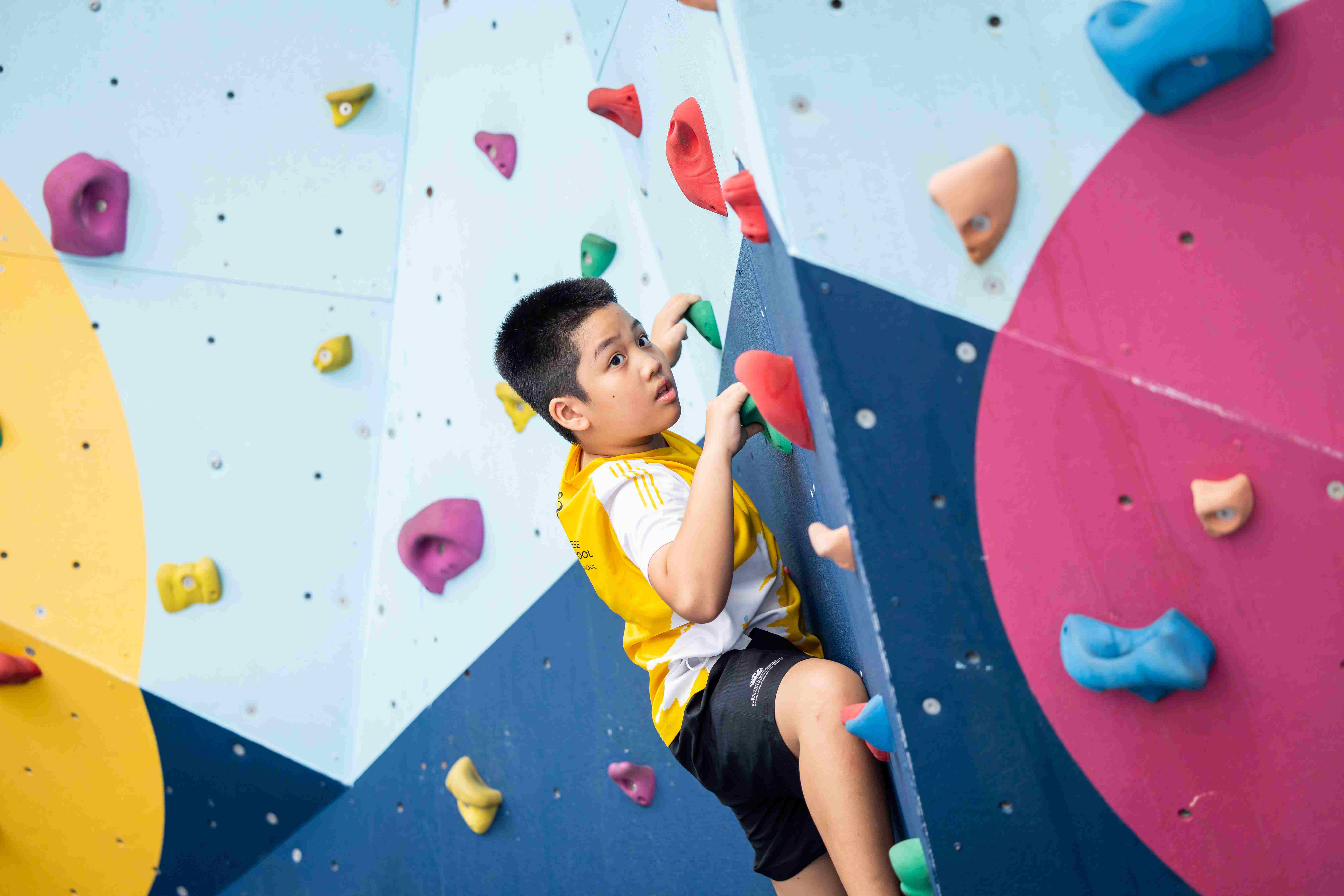 Kết quả A level xuất sắc và thành tích học tập - 04 - visualTimeline WithTags