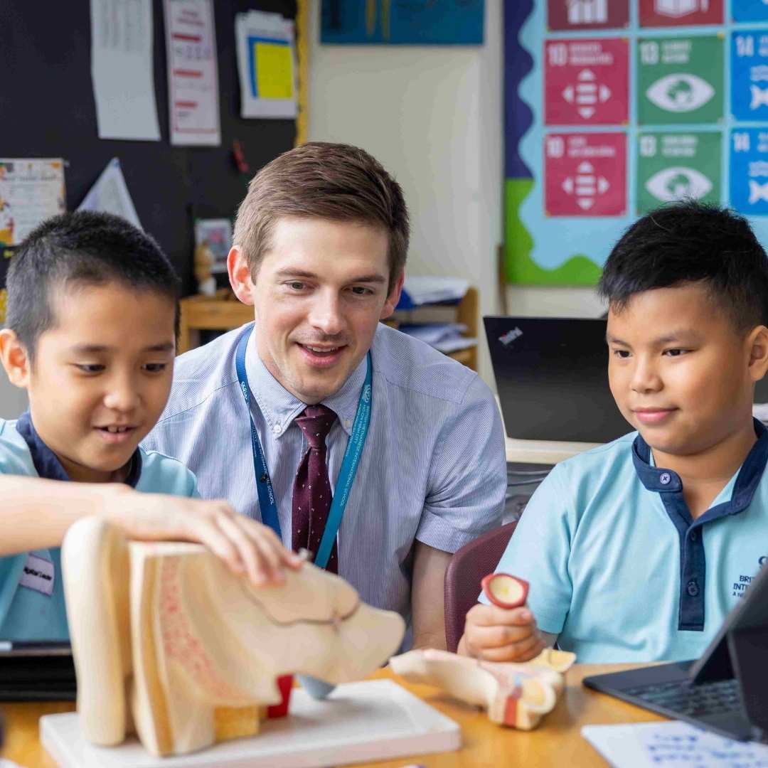 International Primary School in HCMC | BVIS HCMC  - Image-50-pattern
