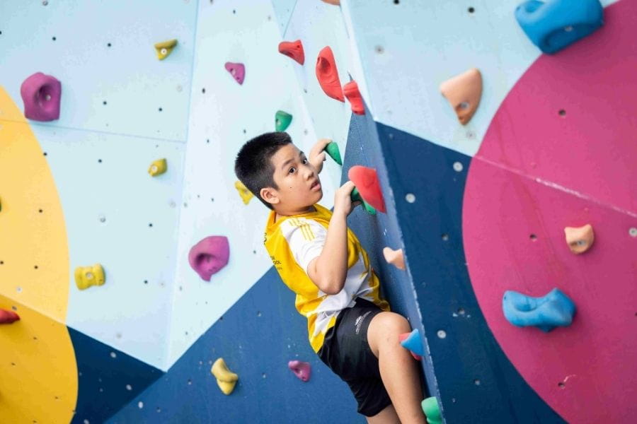 Kết quả A level xuất sắc và thành tích học tập - 04 - visualTimeline WithTags