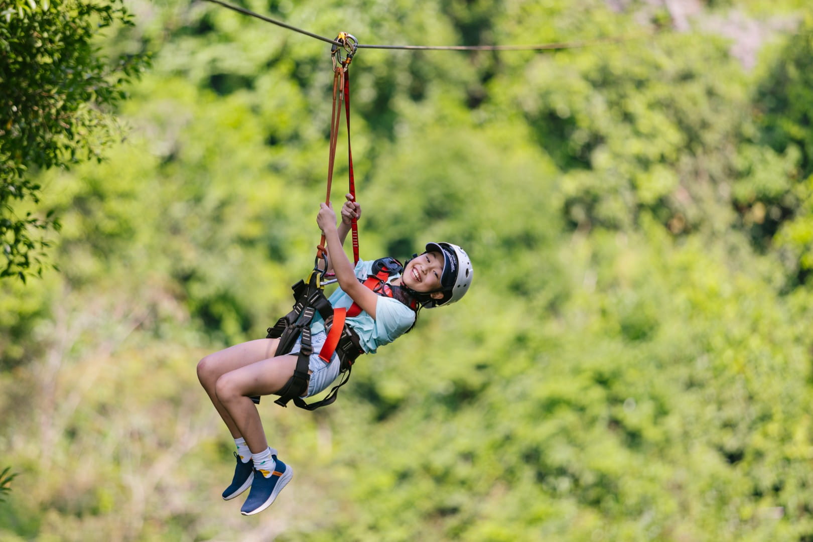 15 Year Anniversary Appreciation Offer - 08 - Carousel Default