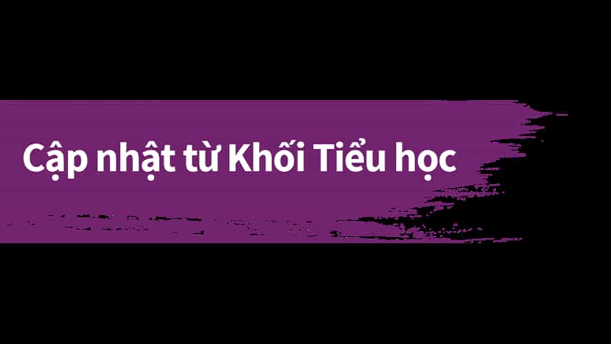 Cp nht Tiu hc BVIS HCM 2018