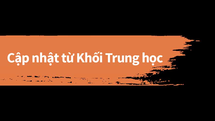 Cp nht Trung hc BVIS HCM 2018