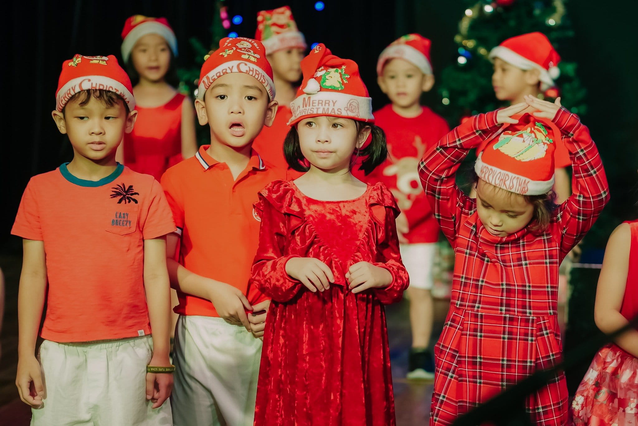Year 1, our very first moments of this X mas season have - Carousel For News Detail