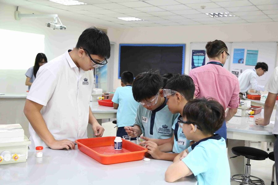 Tiêu Điểm Trong Tuần 21/06/2024 - Weekly Highlights 21 06 2024