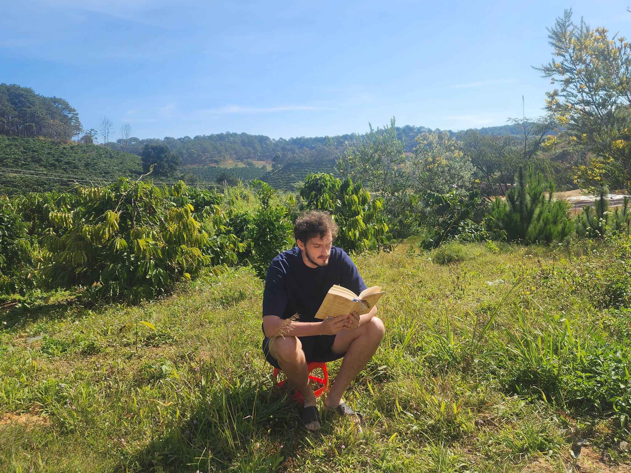 Primary World Book Week Recap: A Journey of Discovery and a Love for Reading! - Carousel For reading challenge