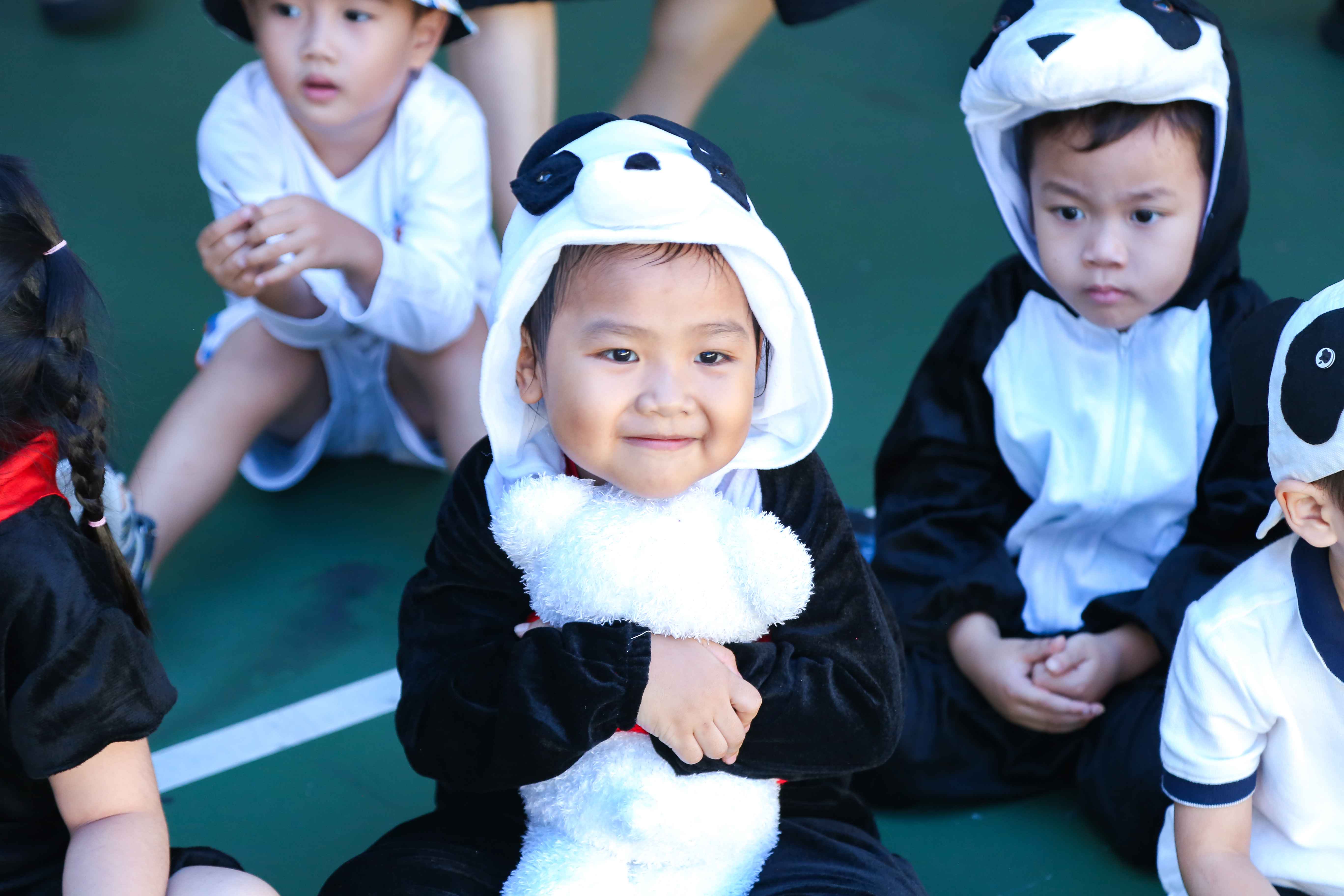 Tổng Kết Tuần Lễ Sách Khối Tiểu Học: Hành Trình Khám Phá Tri Thức và Khơi Dậy Niềm Đam Mê Đọc Sách! - Carousel For News Detail